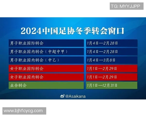 中国足球球星转会变动解析与未来发展趋势分析
