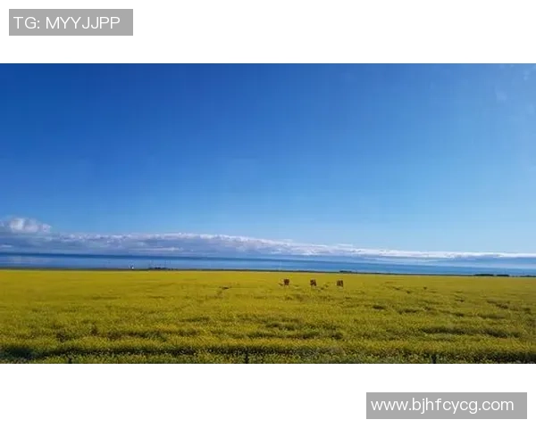 女足球星崛起与贝爷冒险精神的完美碰撞揭秘 女足球星崛起与贝爷冒险精神的完美碰撞揭秘