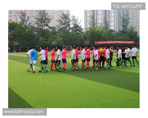 小球足球星的成长历程与赛场风采全面解读 小球足球星的成长历程与赛场风采全面解读