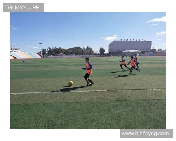 智力足球球星的成长历程与绿茵场上非凡技艺解析